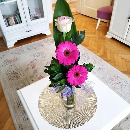 Daire House Of Alnilam *